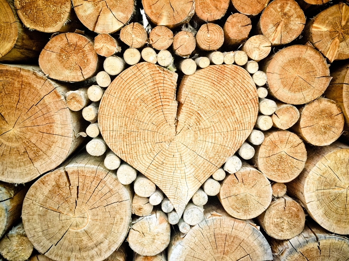 как защитить древесину - статья о выборе древсины при строительстве и правильной окраске лакокрасочными материалами